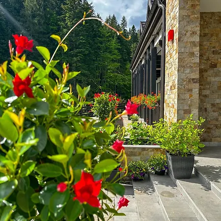 Rarau Retreat Hotell