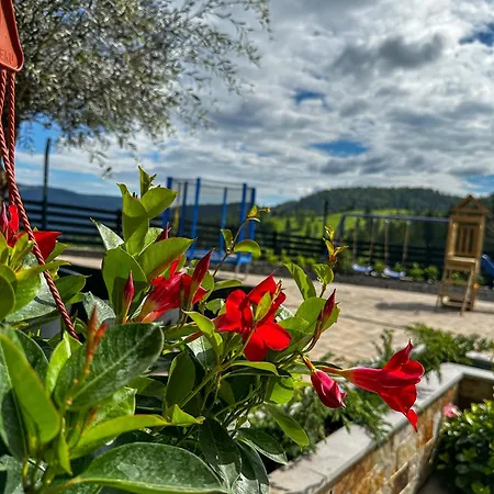 Rarau Retreat Hotell Câmpulung Moldovenesc